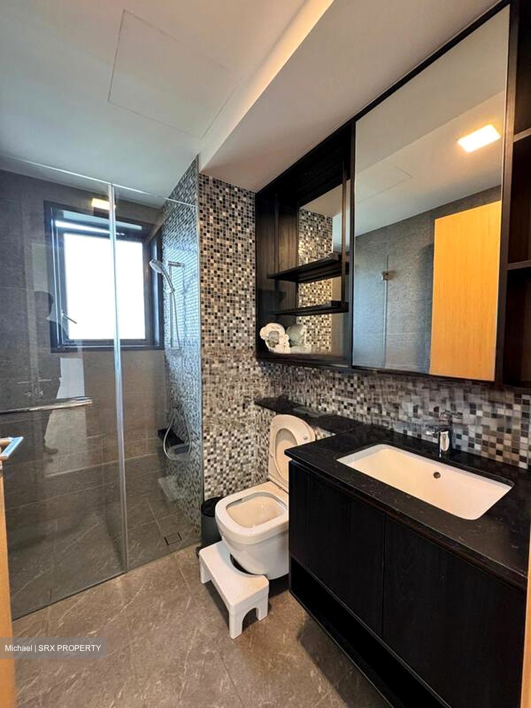 The Antares (D14), Apartment #475058061